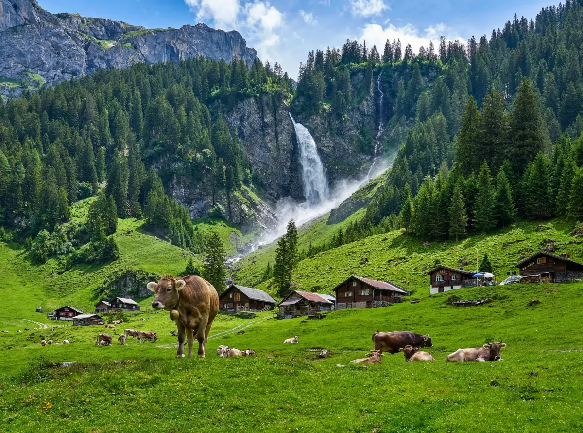 Altdorf Swiss