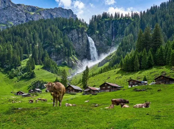Altdorf Swiss