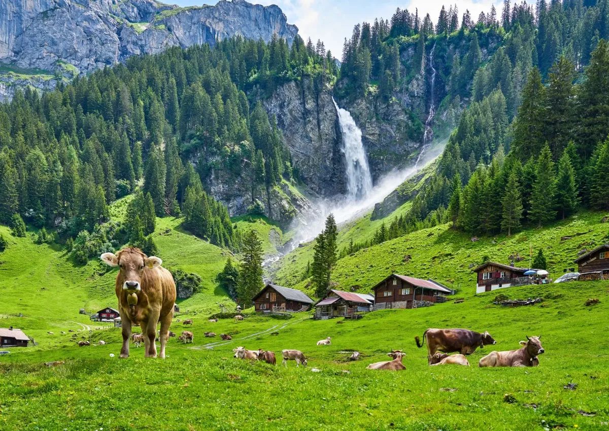 Altdorf s nature Switzerland