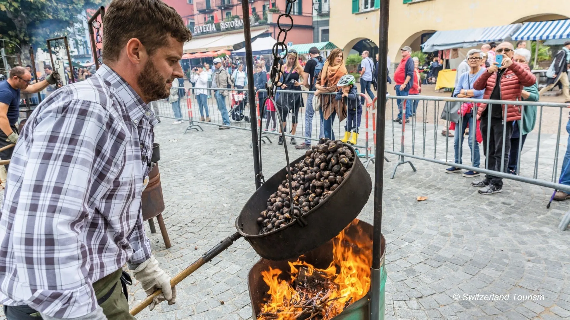 chestnut-festival