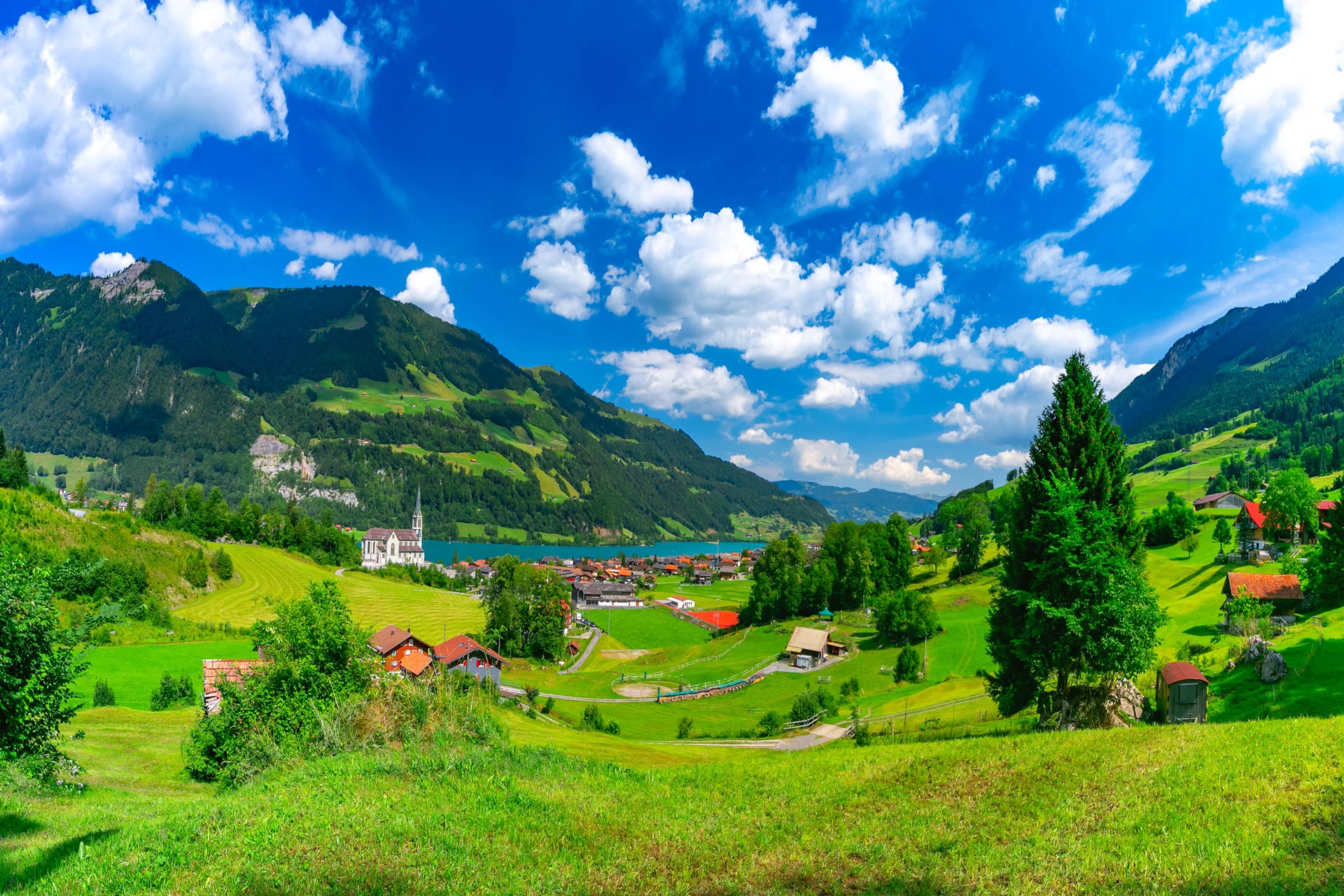 Grimsel Pass Switzerland