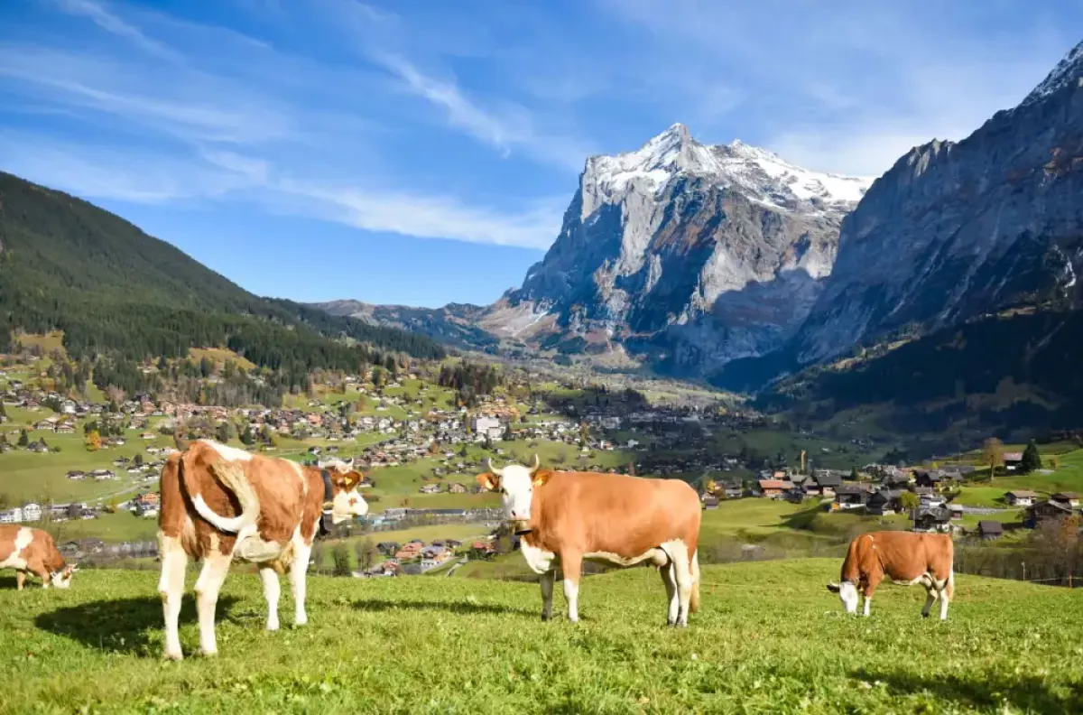 Grindelwald-switzerland