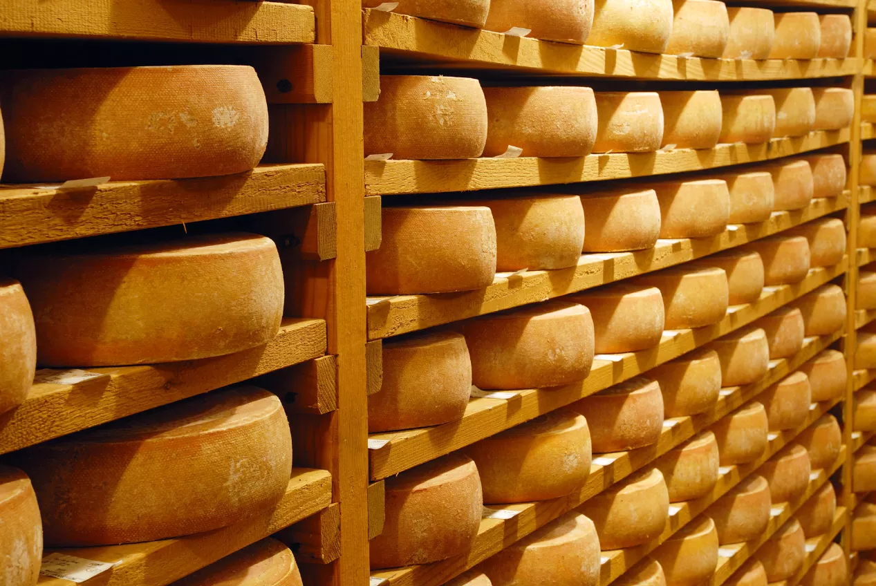 Swiss-cheese-Raclette