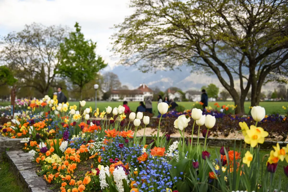 Interlaken Switzerland