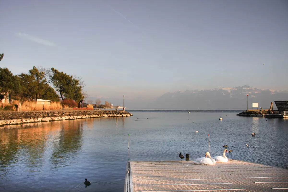 Lausanne