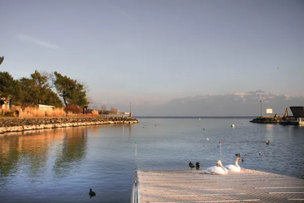 Lausanne