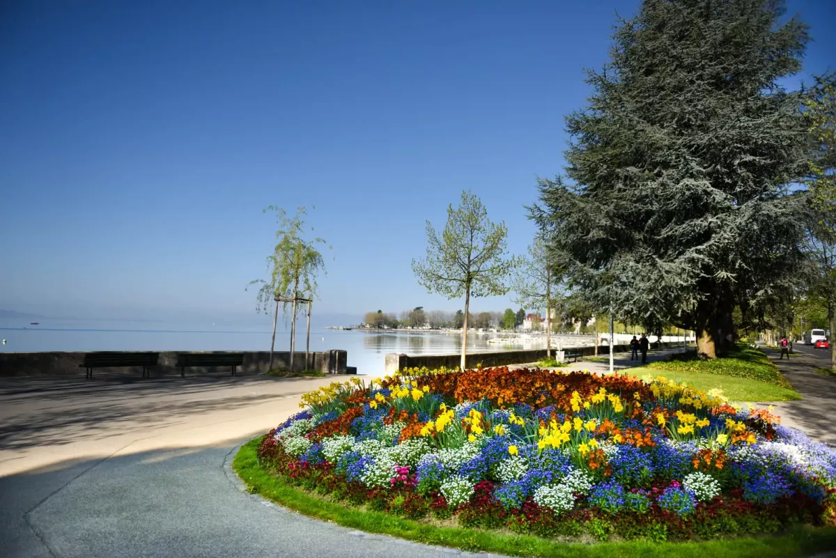 Lausanne