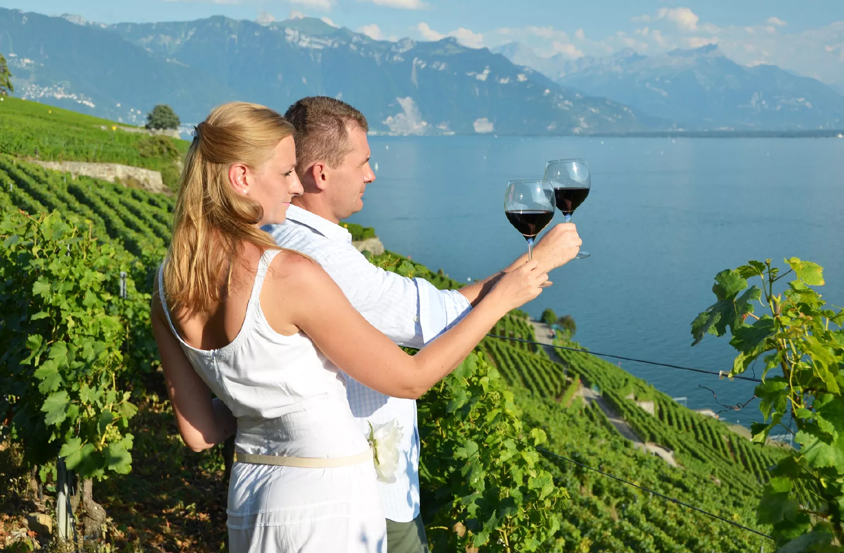 Wine tasting