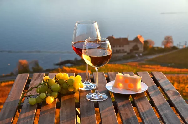 Lake view wine tasting in Lavaux Switzerland