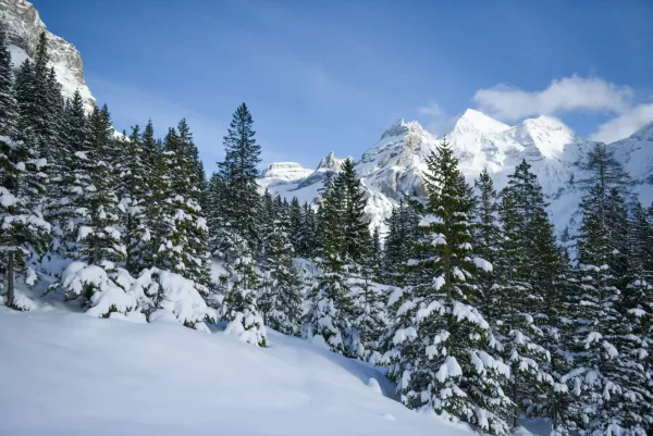 Leukerbad Swiss
