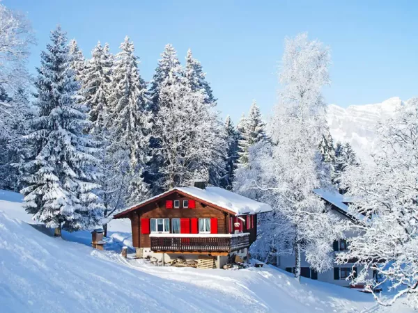 Snowy Verbier