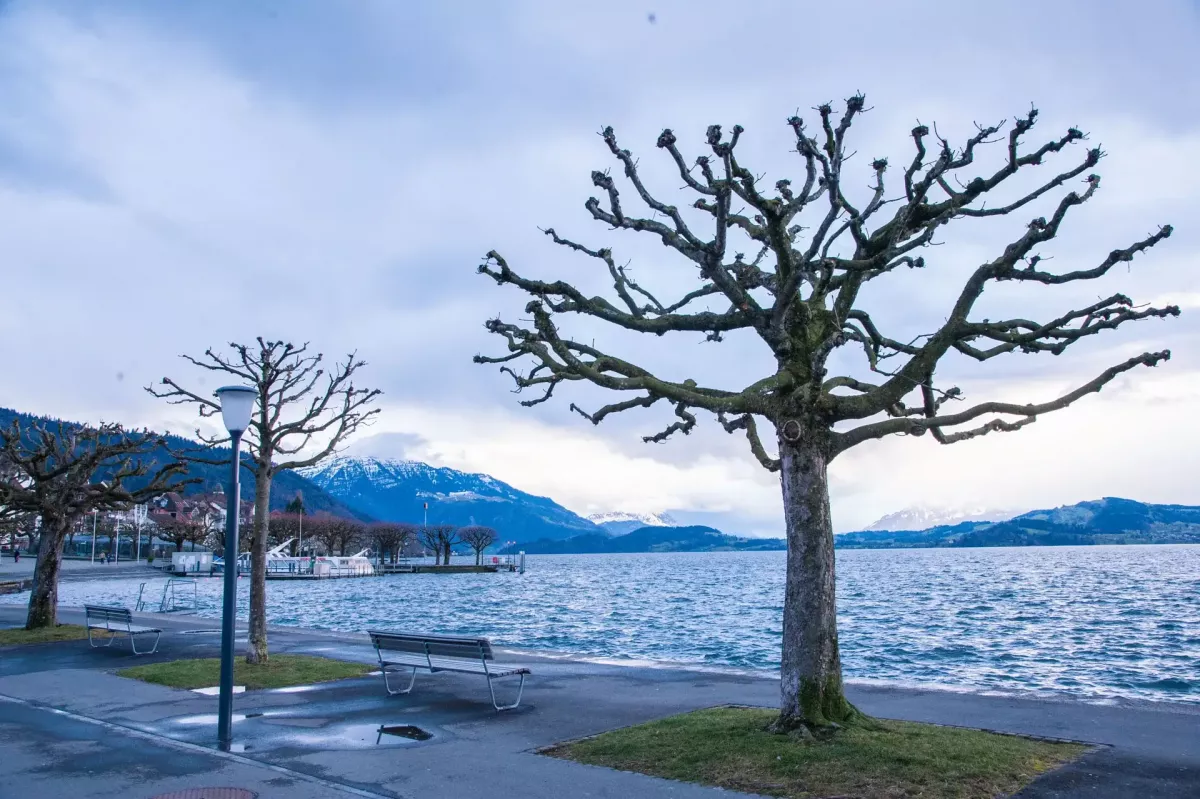 Lake Zug Switzerland