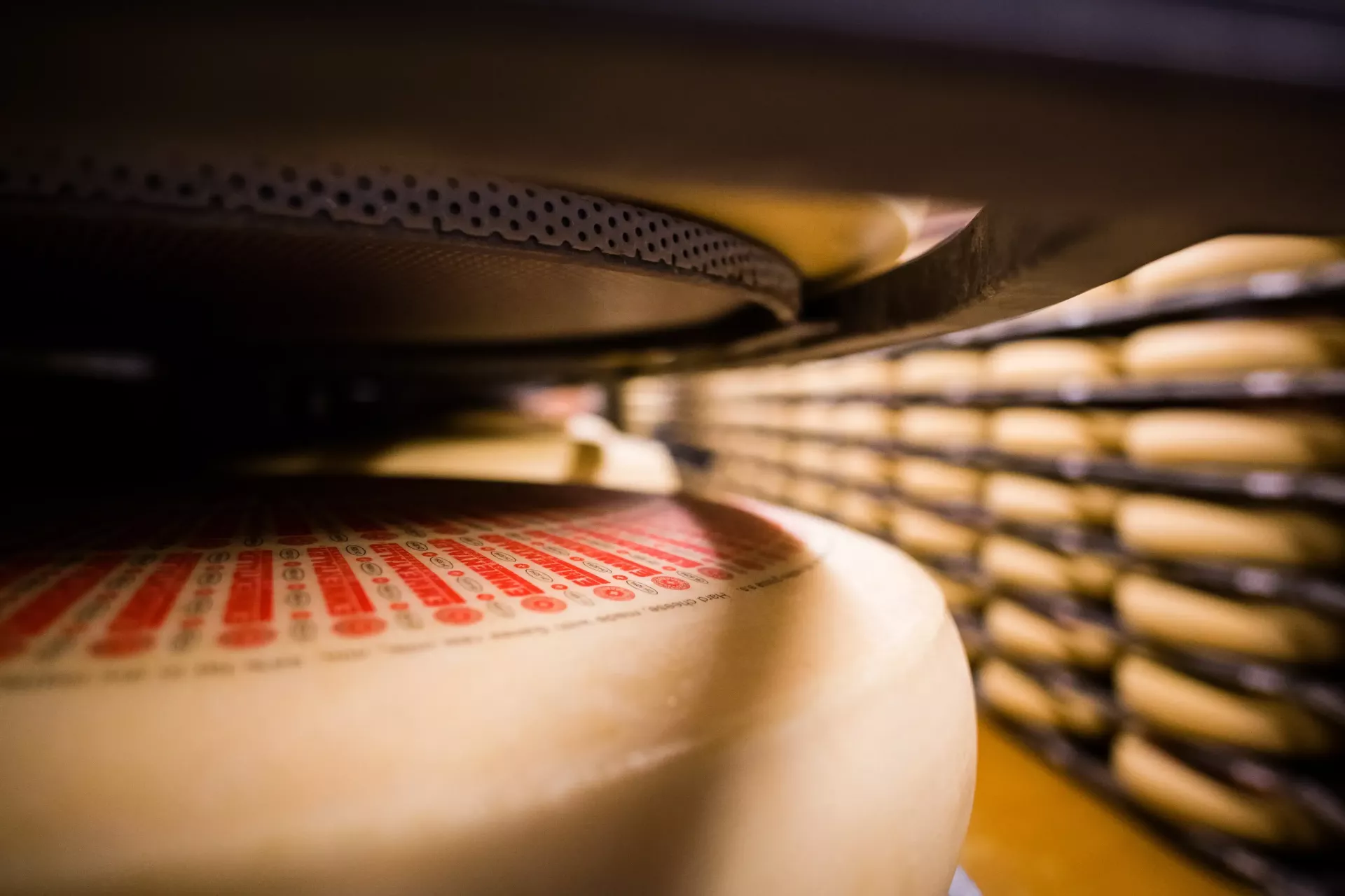 emmental-cheese-selection