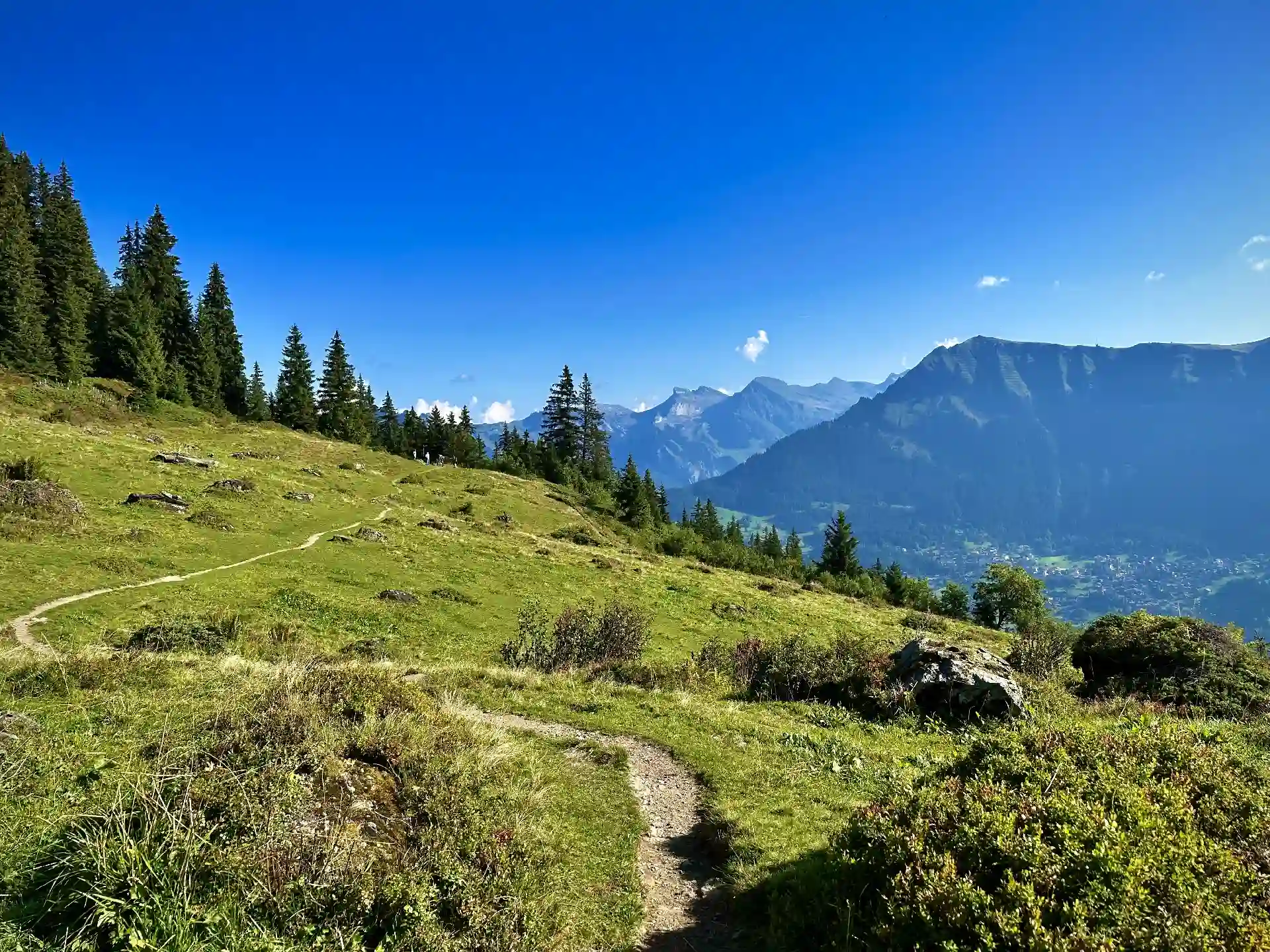 Allmendhubel Hike