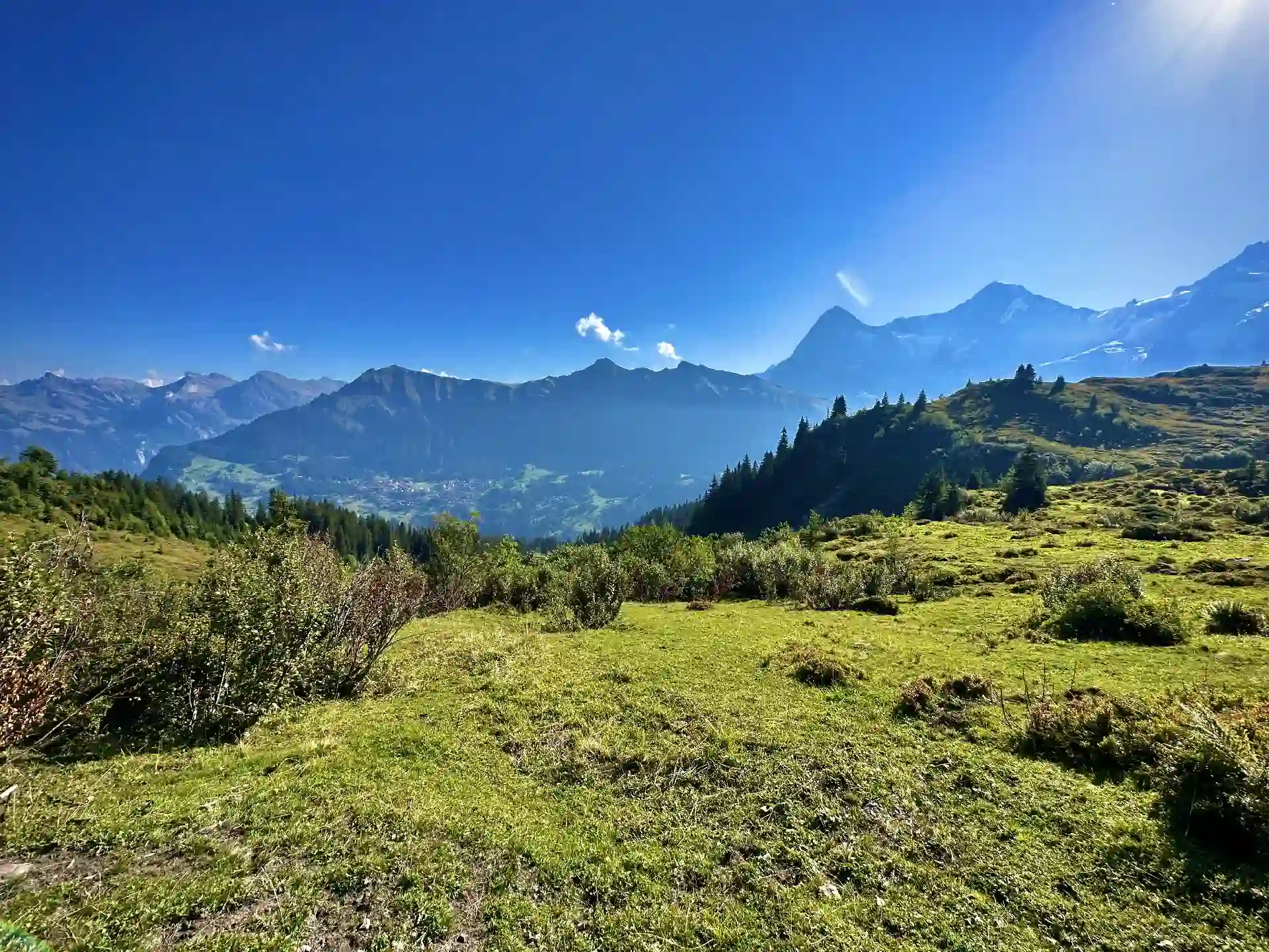 Allmendhubel Hike