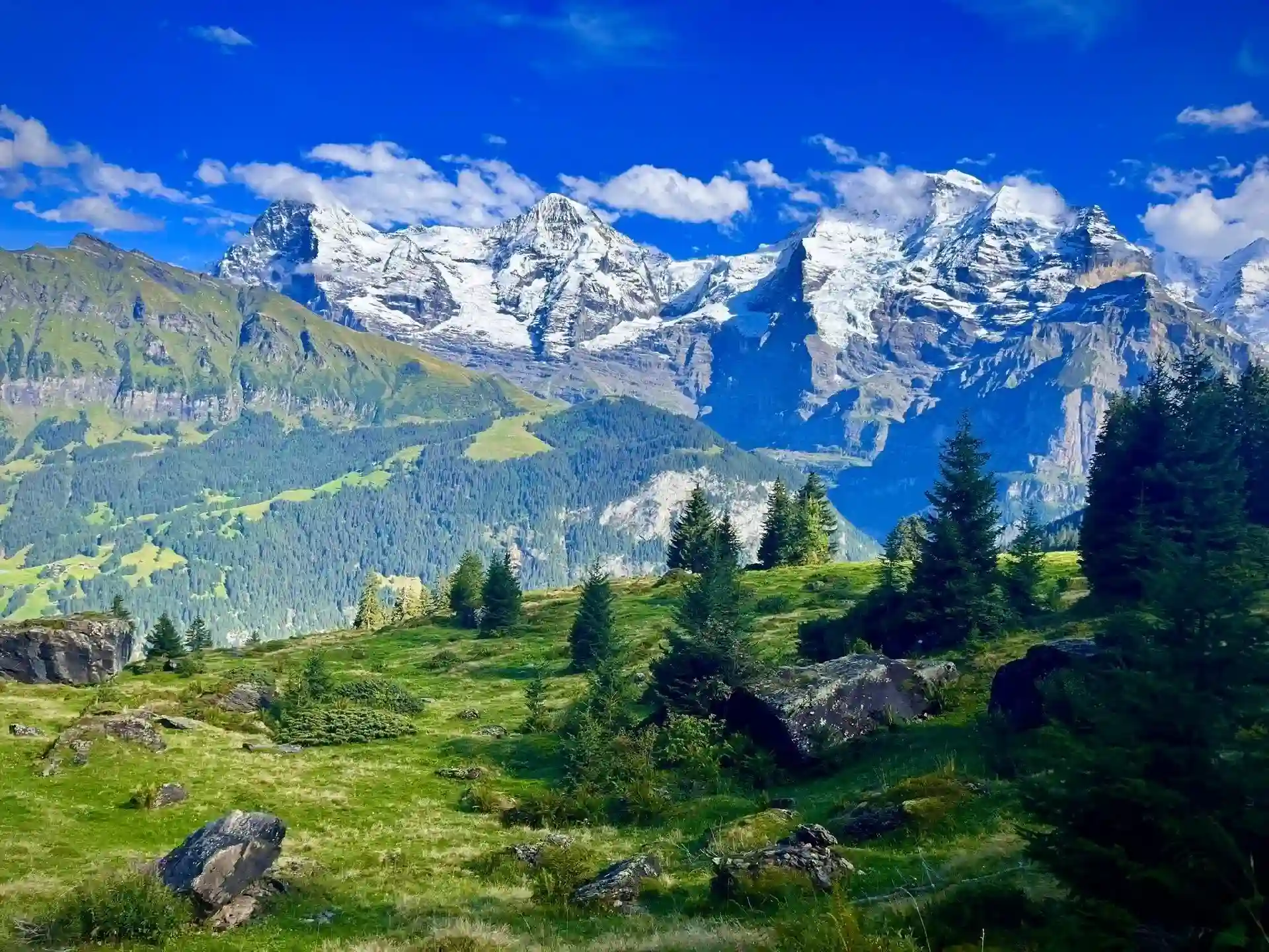 Allmendhubel Hike