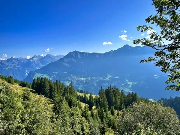 Allmendhubel Hike