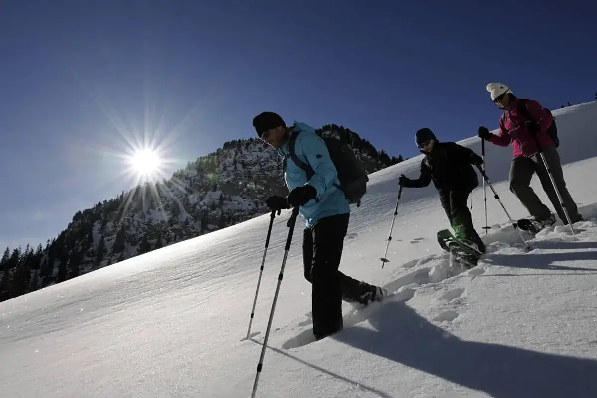 Guided Snowshoe Hike