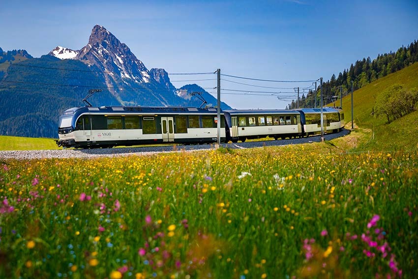 Golden-Pass-Express
